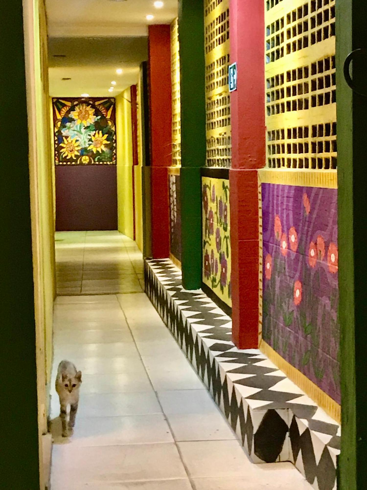 Hostel Do Rasta ซัลวาดอร์ ภายนอก รูปภาพ